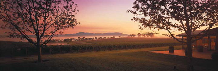 Welcome to Oakridge Vineyards' Website!